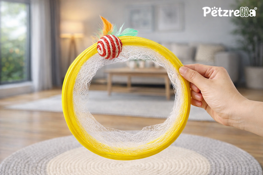 Interactive Cat Play Tunnel with Hanging Plush & Feather Toys