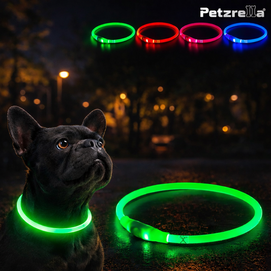 Rechargeable LED Dog Collar – Night Visibility & Safety