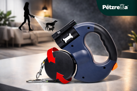 Two Dogs. One Smooth Walk.