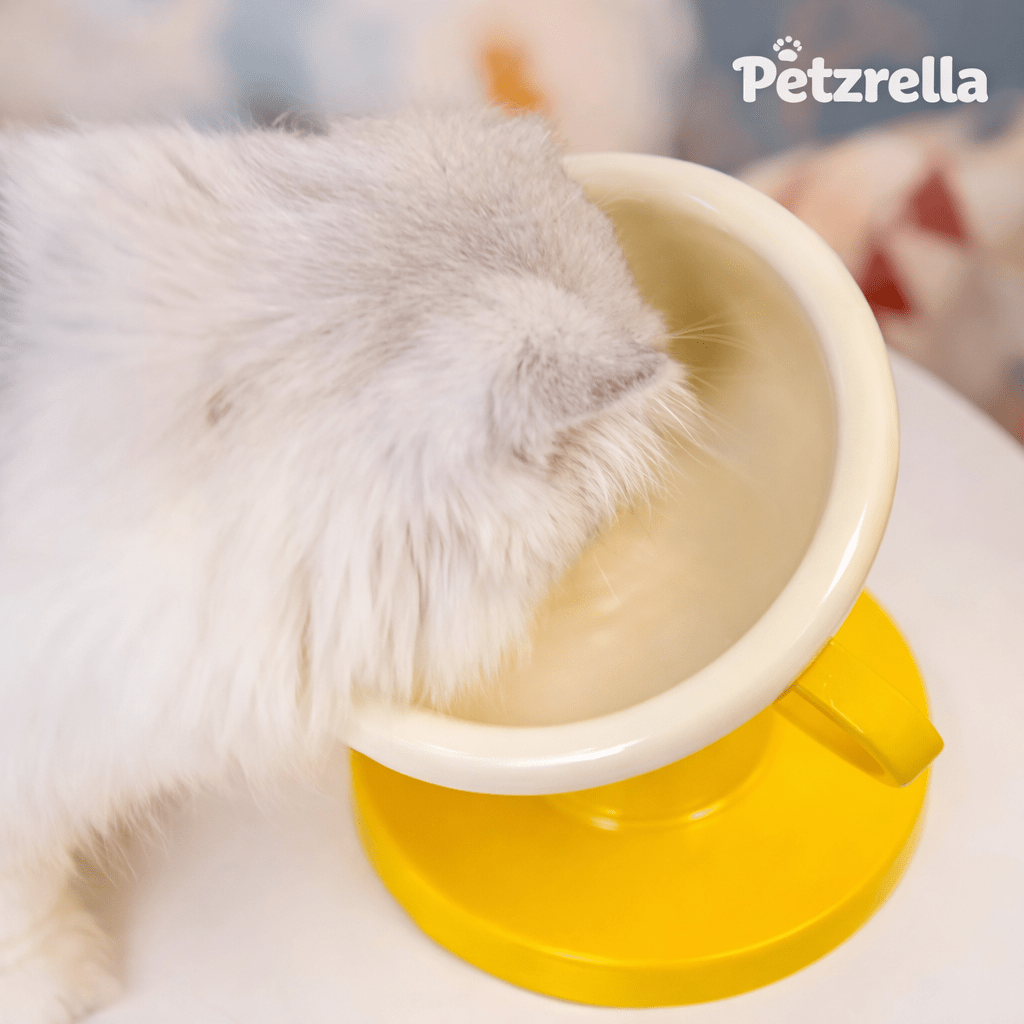 Petzrella Smart Posture Meal Bowl - Petzrella Kft.