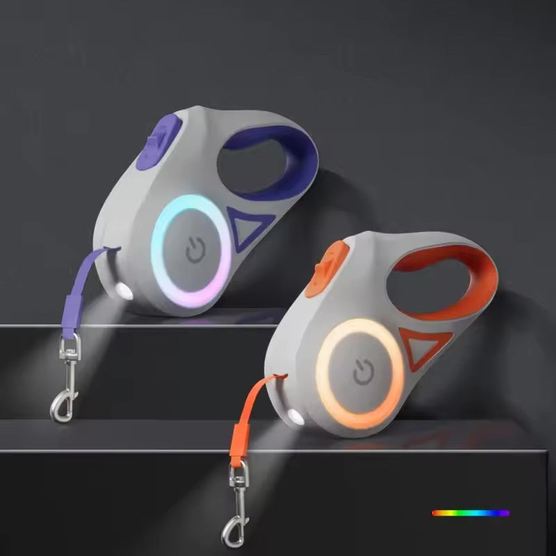 LED Light Leash