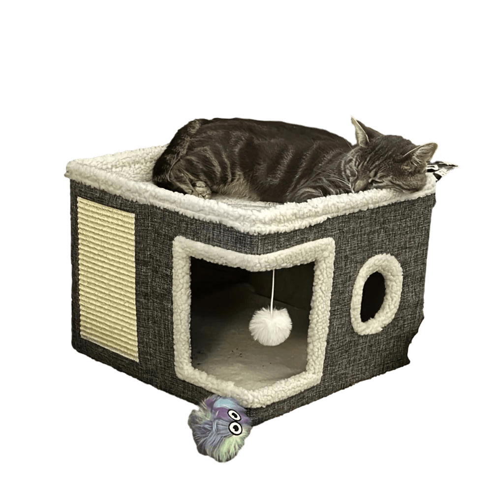 Petzrella Cozy Cube Cat House with Elevated Perch - Petzrella Kft.