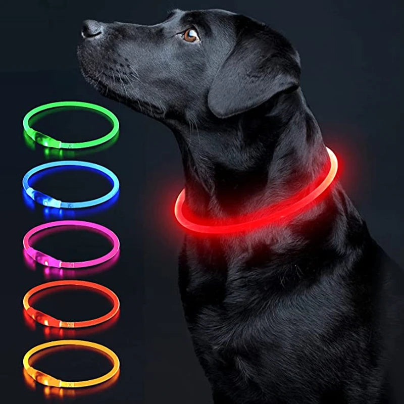 Petzrella LED-Leuchthalsband – USB-wiederaufladbar