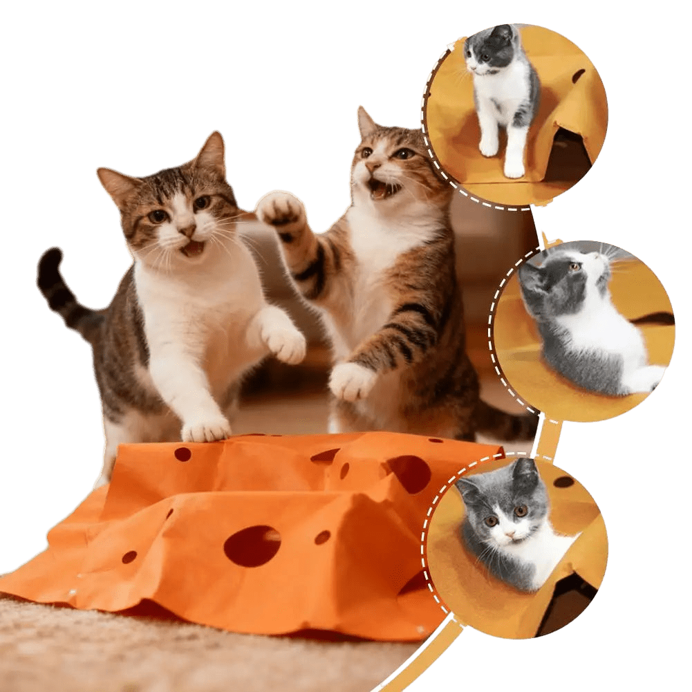 Petzrella Tunnel Play Mat for Cats - Petzrella Kft.