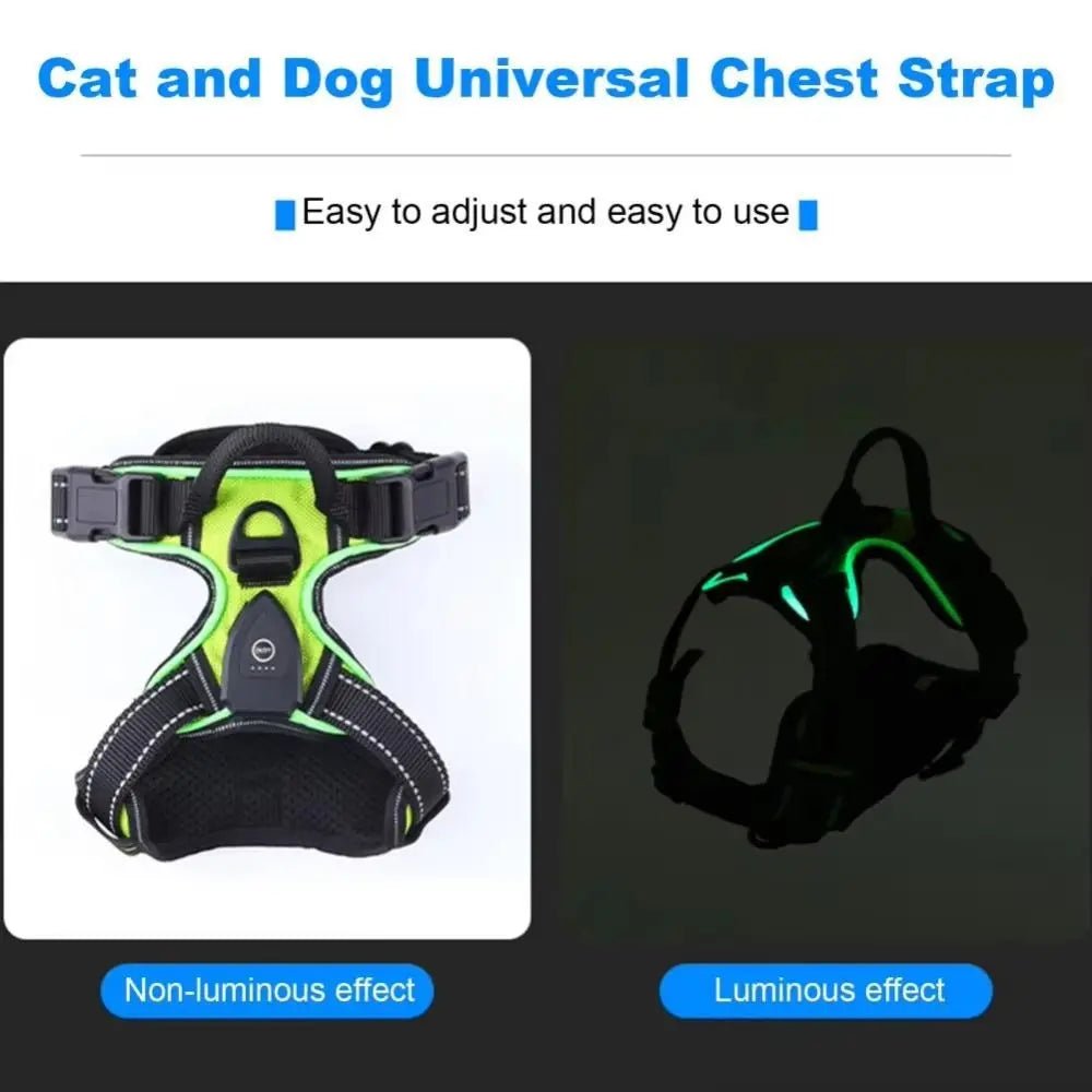 Petzrella GlowGuard Safety Harness - Petzrella Kft.