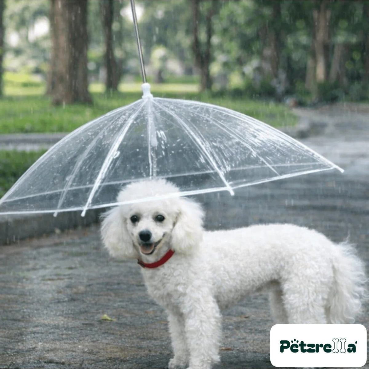 Petzrella Transparent Pet Umbrella