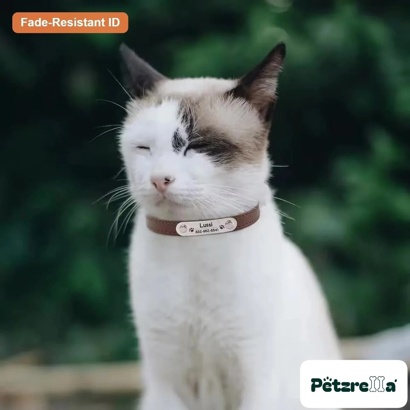 Petzrella Custom Engraved Pet Collar – view 3
