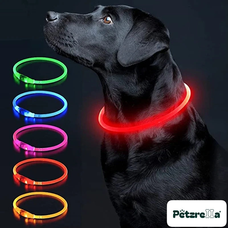 Petzrella LED Light-Up Pet Collar – Red / Maximum size 70cm