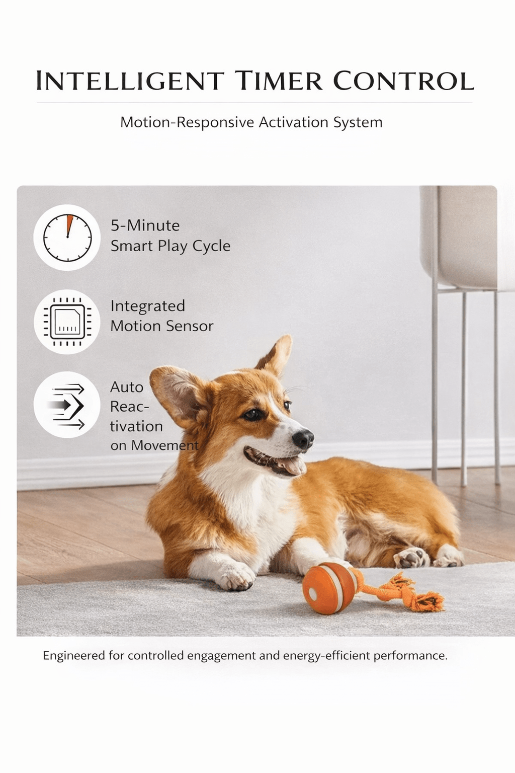 Petzrella Sonic-Play Smart Dog Ball - Petzrella Kft.