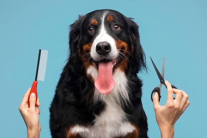 DIY Grooming tools