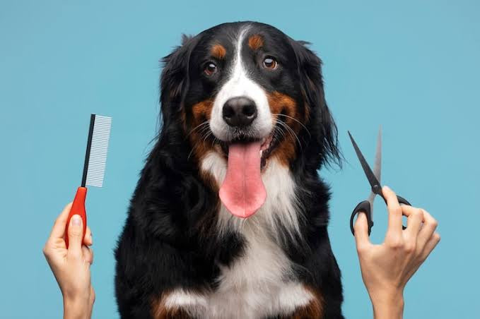 DIY Grooming tools