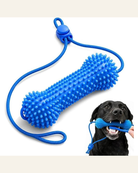 Petzrella Dog Dental Chew Toy with Rope