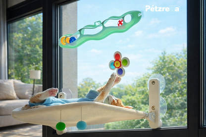 Fun & Fashionable Sunglasses Made for Cats