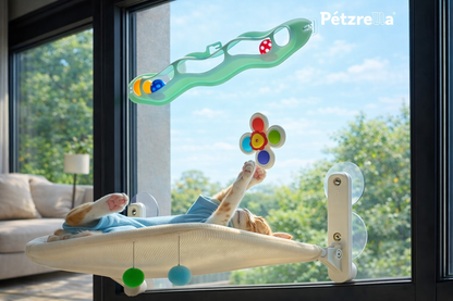 Fun & Fashionable Sunglasses Made for Cats