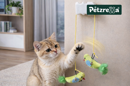 Petzrella Fenster-Saugnapf-Vogel-Teaser-Spielzeug mit Glöckchen für Katzen