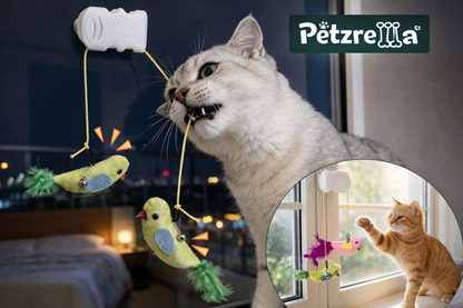 Petzrella Fenster-Saugnapf-Vogel-Teaser-Spielzeug mit Glöckchen für Katzen