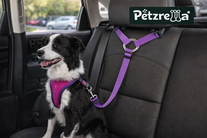 Petzrella Autositz-Sicherheitsgurt