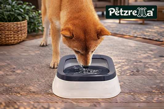 Clean Design. Reliable Performance.