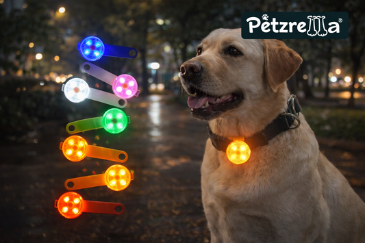 Petzrella Guardian Glow Haustieranhänger