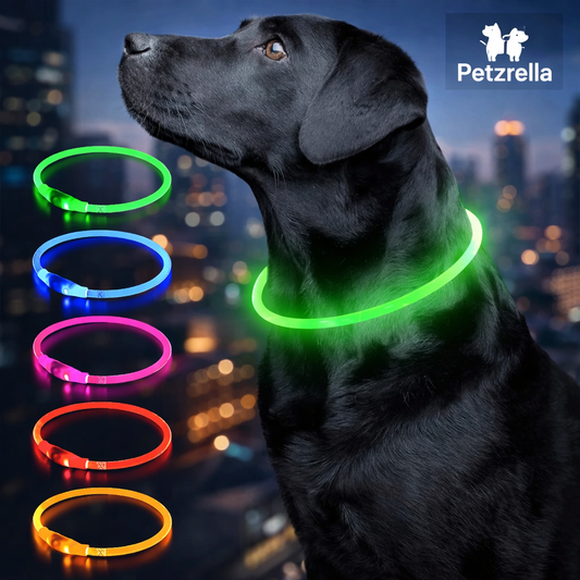 Petzrella Rechargeable LED Dog Collar