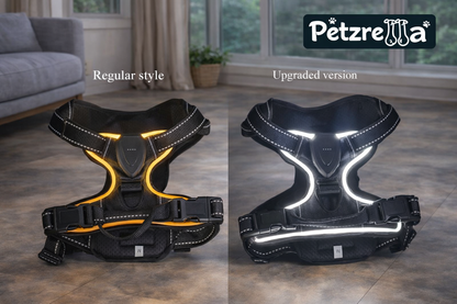 Petzrella GlowGuard Sicherheitsgeschirr
