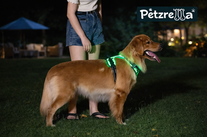 Petzrella GlowGuard Sicherheitsgeschirr
