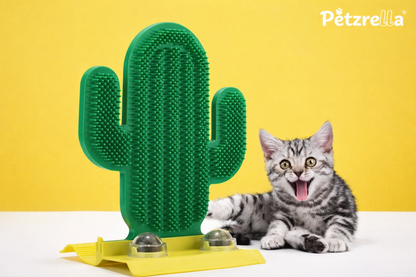 Turn Any Corner Into a Cat Spa