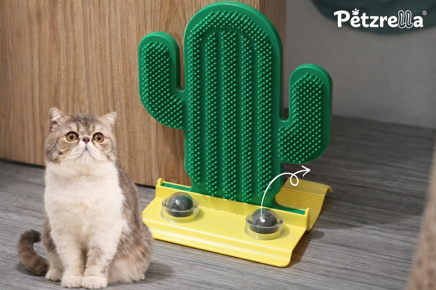 Turn Any Corner Into a Cat Spa