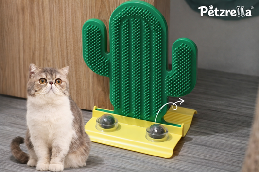 Turn Any Corner Into a Cat Spa