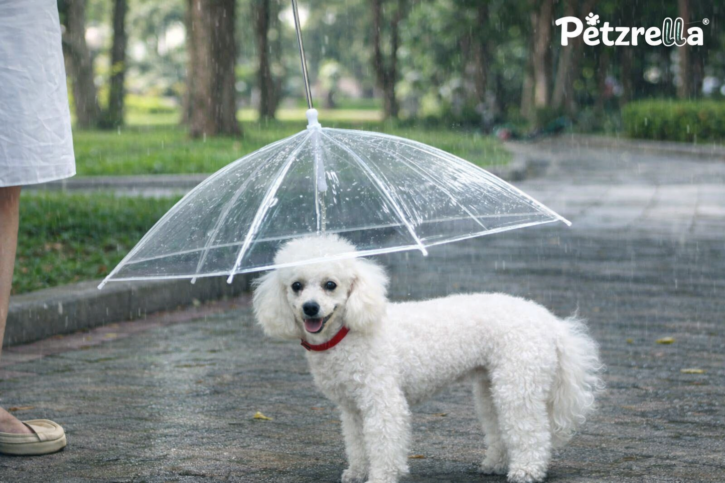 Transparent Dog Umbrella – Dry Walks, Clear View & Easy Control
