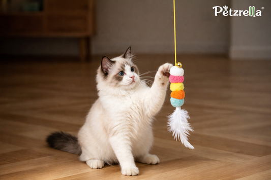 Automatic Door Hanging Feather Teaser Toy for Cats