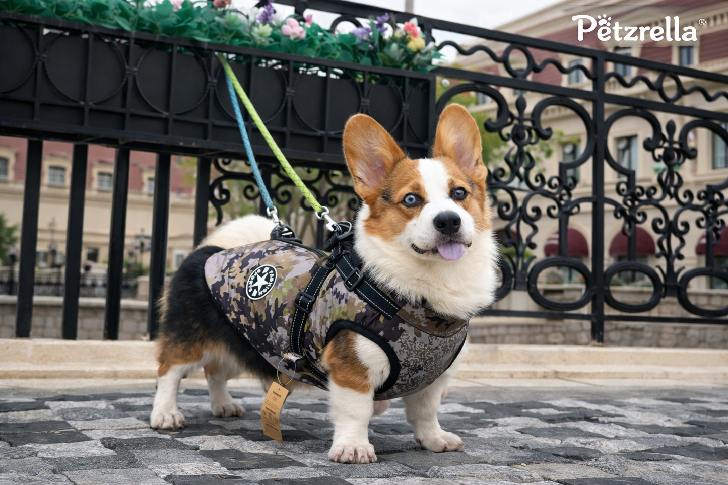 Petzrella Winterhundejacke mit integriertem Geschirr – wasserdicht & warm (S–5XL)