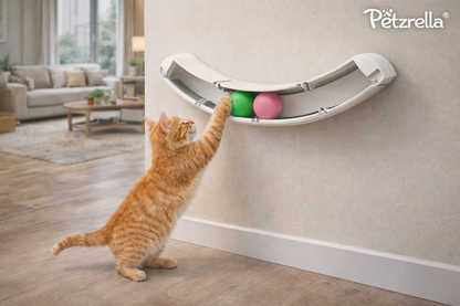 Wall Track Rolling Ball Toy – Self-Play Enrichment for Indoor Cats