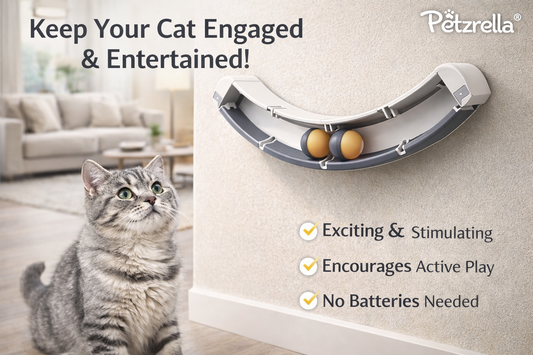 Wall Track Rolling Ball Toy – Self-Play Enrichment for Indoor Cats