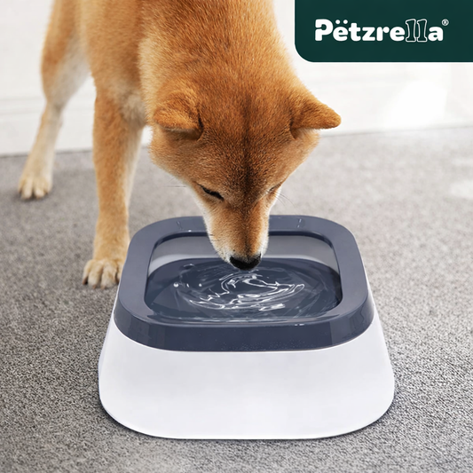 Clean Design. Reliable Performance.