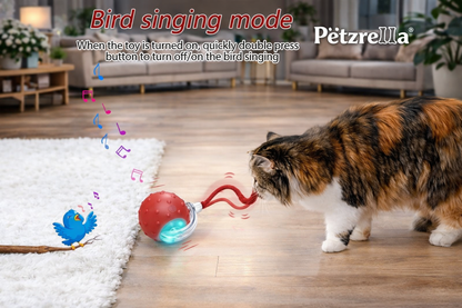 Petzrella Bewegungsspielzeug, dem Katzen nicht widerstehen können