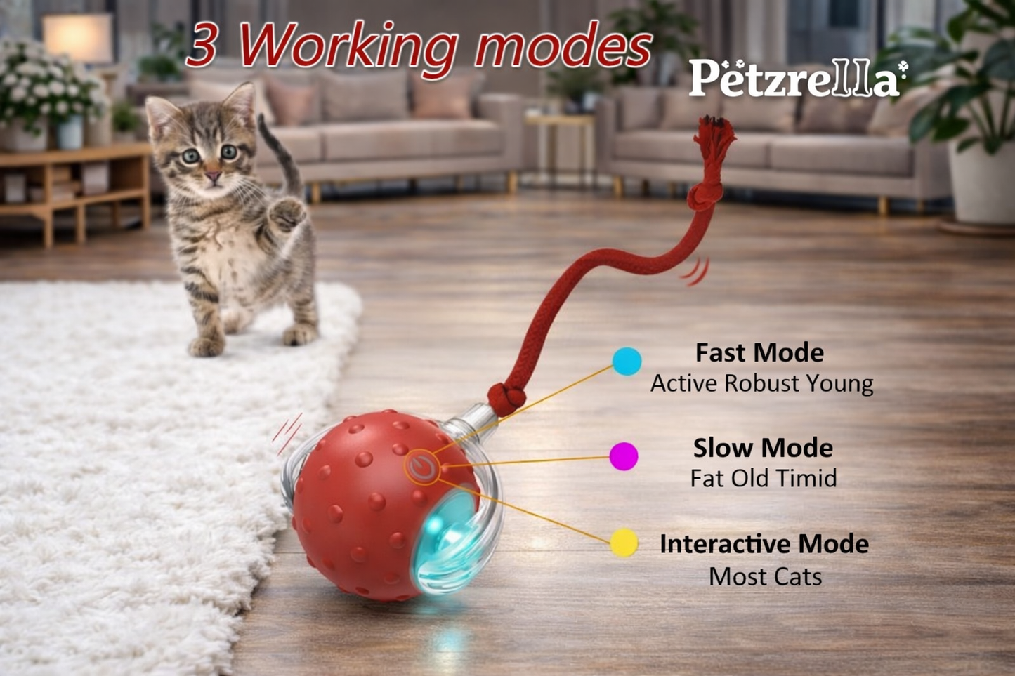 Petzrella Bewegungsspielzeug, dem Katzen nicht widerstehen können