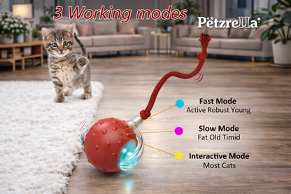 Petzrella Bewegungsspielzeug, dem Katzen nicht widerstehen können