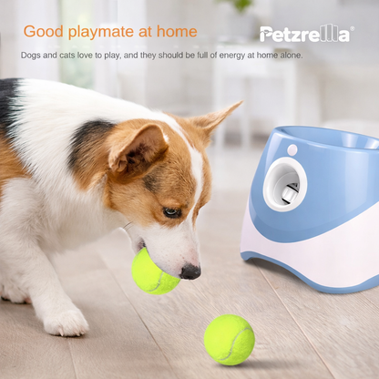 Petzrella Automatischer Tennisballwerfer für Hunde
