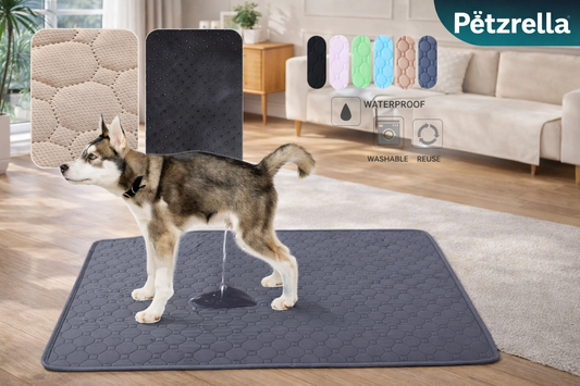 Washable Dog Pee Pad – Waterproof & Leak-Proof Protection