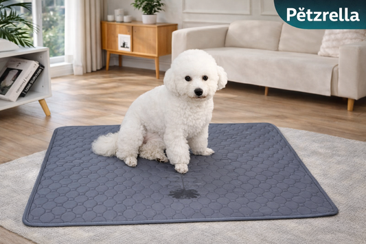 Washable Dog Pee Pad – Waterproof & Leak-Proof Protection
