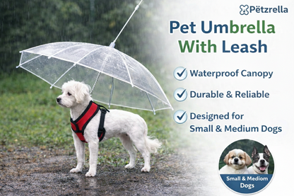 Transparent Dog Umbrella – Dry Walks, Clear View & Easy Control