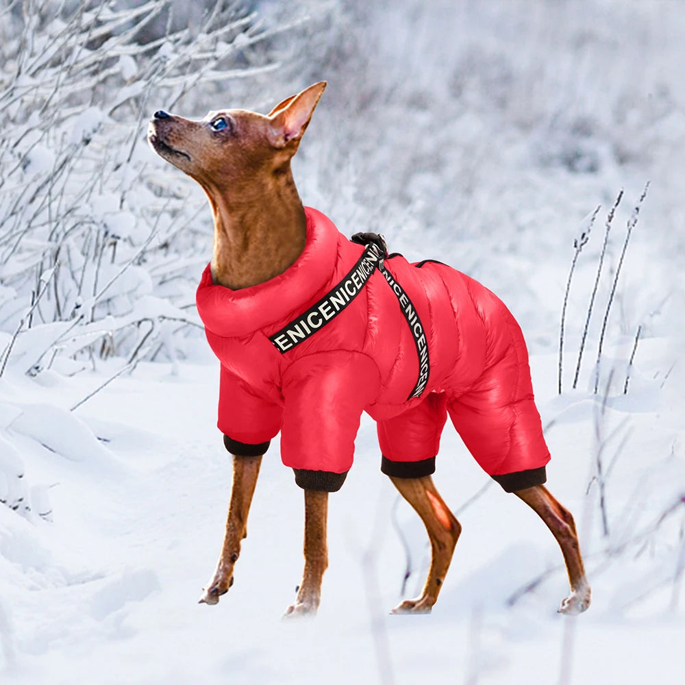Waterproof Winter Dog Jumpsuit with Harness Straps