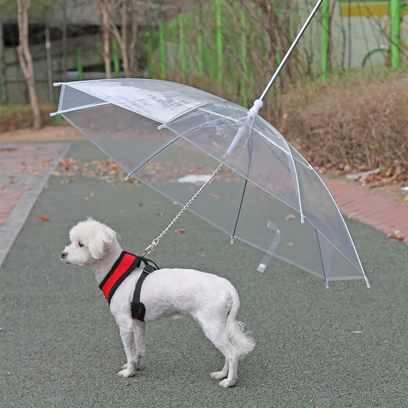 Transparent Dog Umbrella with Integrated Leash
