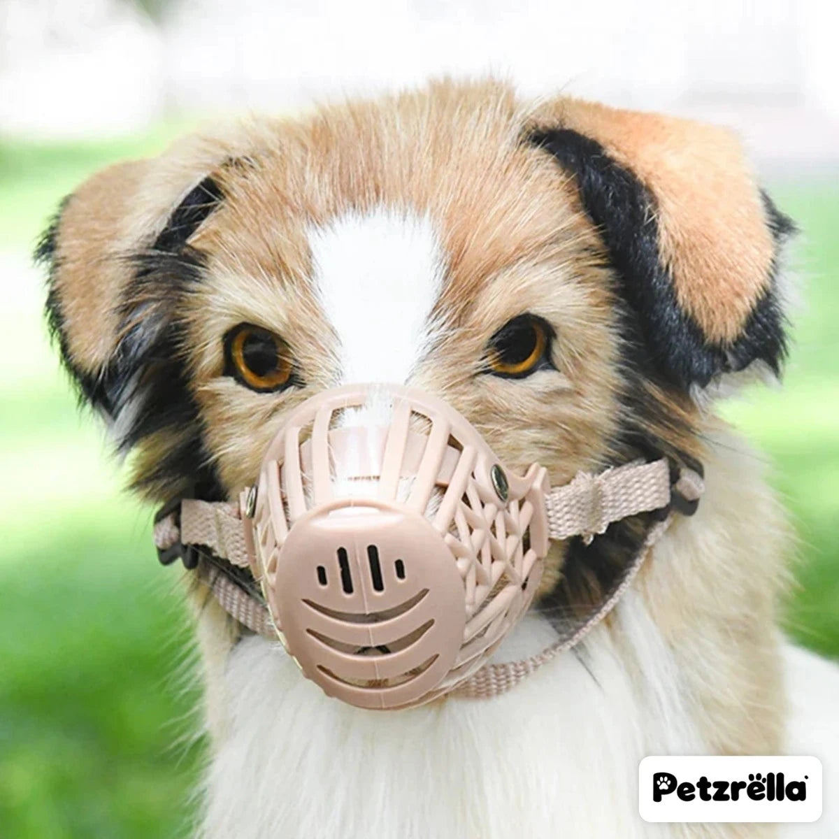 Petzrella Basket Muzzle for dogs