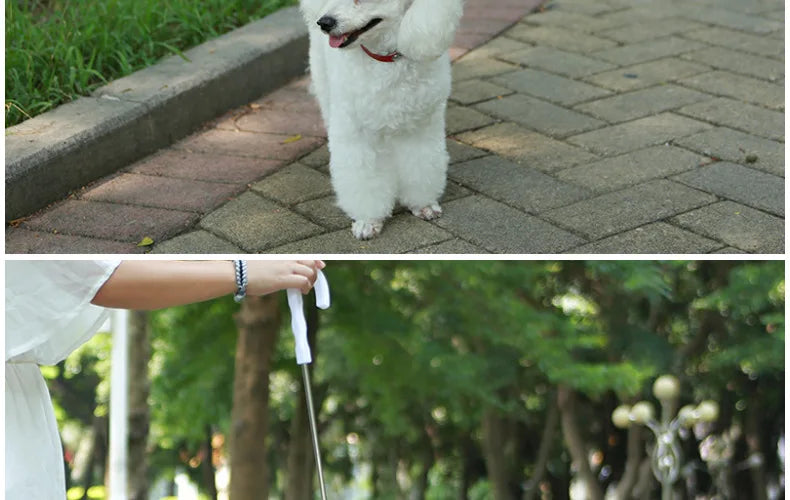 Transparent Dog Umbrella with Integrated Leash