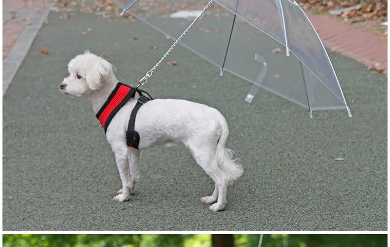 Transparent Dog Umbrella with Integrated Leash