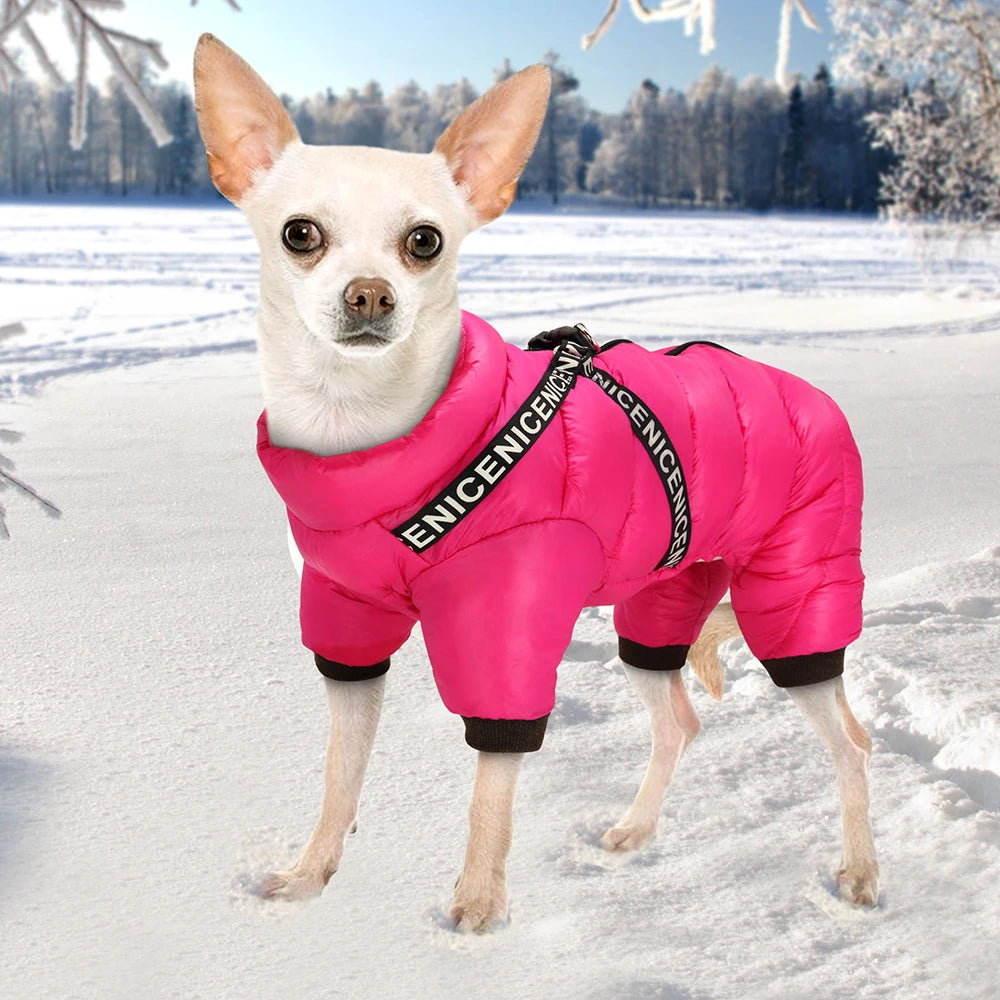 Waterproof Winter Dog Jumpsuit with Harness Straps