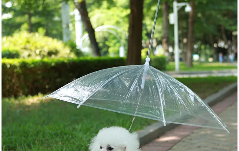 Transparent Dog Umbrella with Integrated Leash
