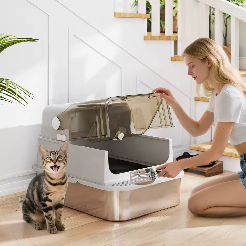 Cat Litter Box